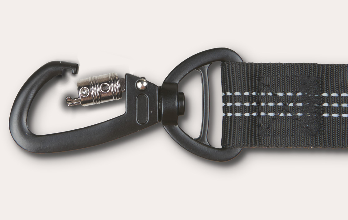 Rottweilers Dog Safety Belt for Toyota 4Runner