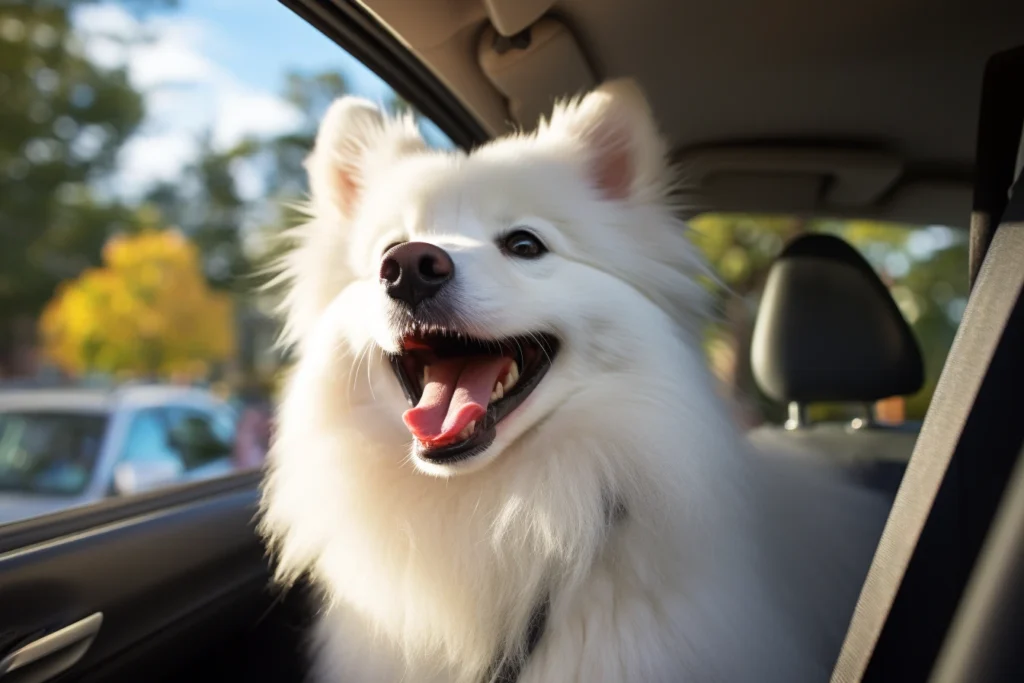 Hyundai Santa Fe Dog Car Seat for American Eskimo Dogs