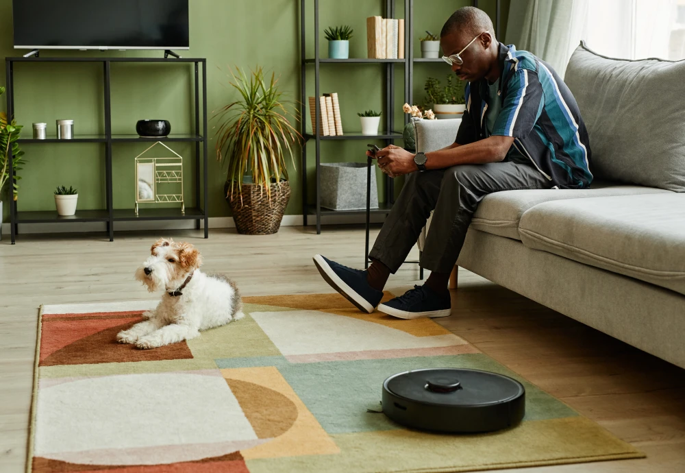 robot vacuum cleaner with smart mapping system